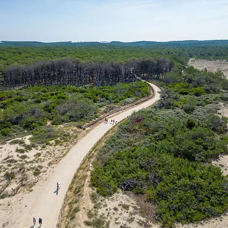 Maison En Duplex Au Pied Des Dunes à - Calme Et Confort, Parking Et Terrasse - Fr-1-319-183